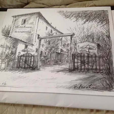 Bed and Breakfast Ulivo Rosso