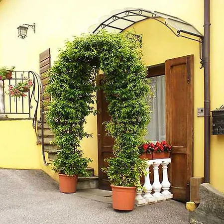 Ulivo Rosso