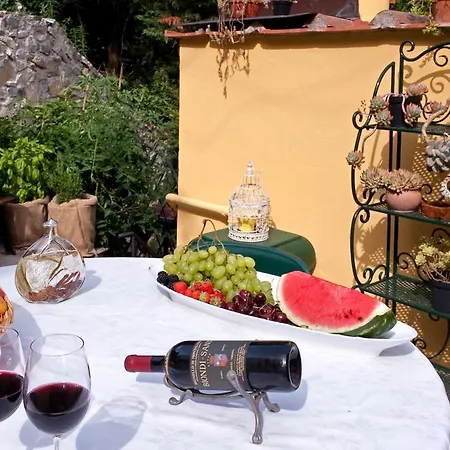 Ulivo Rosso * Sesto Fiorentino