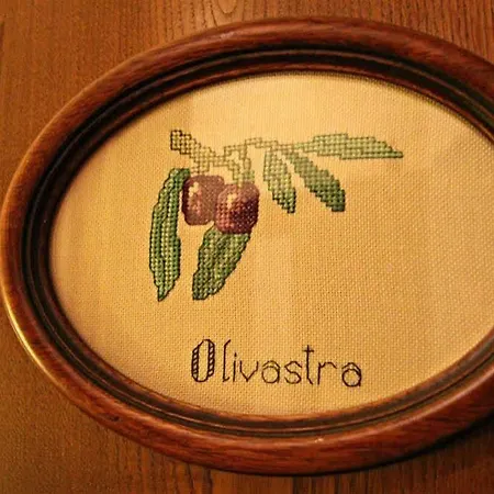 Ulivo Rosso Sesto Fiorentino