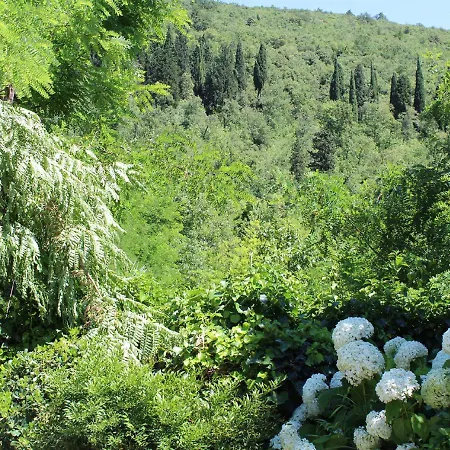 Bed & Breakfast Ulivo Rosso