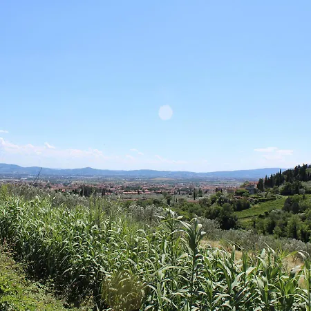 Ulivo Rosso * Sesto Fiorentino